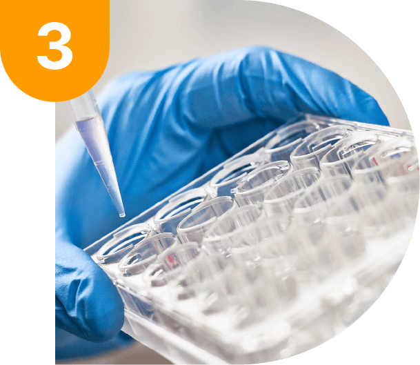 Home - DNA Tests Direct